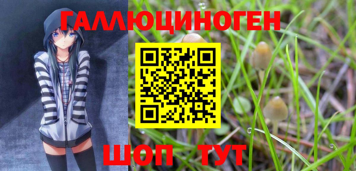 Псилоцибиновые грибы MAGIC MUSHROOMS  Вход с VPN  Шелехов 
